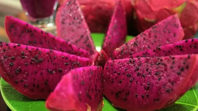 Manfaat Buah Naga Merah untuk Ibu Hamil