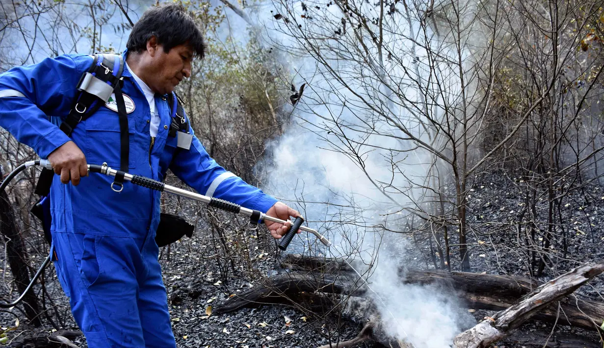 Presiden Bolivia Evo Morales menyemprotkan air saat berusaha memadamkan api dalam kebakaran hutan di pinggiran Robore, Bolivia, Selasa (27/8/2019). Kebakaran hutan membuatnya menunda kampanye pemilihan presiden selama sepekan. (Raul Martinez/Bolivia's Communication Ministry press office via AP)