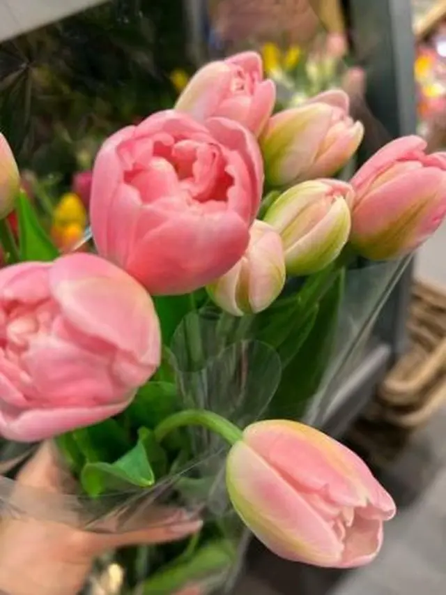 Raline Shah di Amsterdam, Belanda (Instagram/ralineshah)