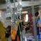 Bangladesh Catat 2.249 Kasus DBD dalam Sehari, Rekor Tertinggi Tahun Ini