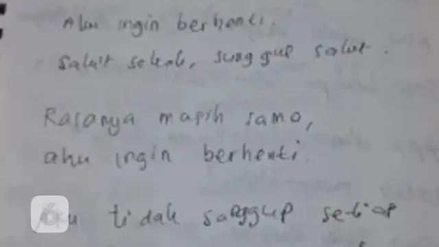 Undip