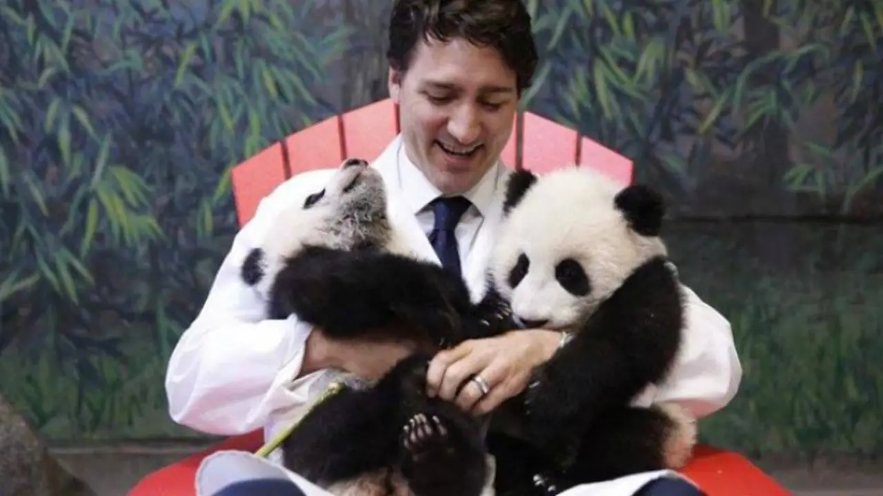 Kebahagiaan PM Trudeau Jadi 'Ayah'
