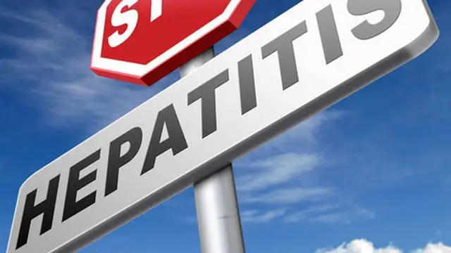 Hari Hepatitis Sedunia 2023, Kemenkes Ingatkan Peran Penting Organ Hati