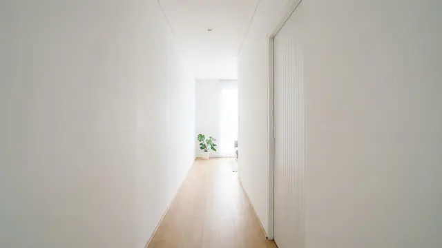 Warna Pintu untuk Rumah dengan Dinding Putih