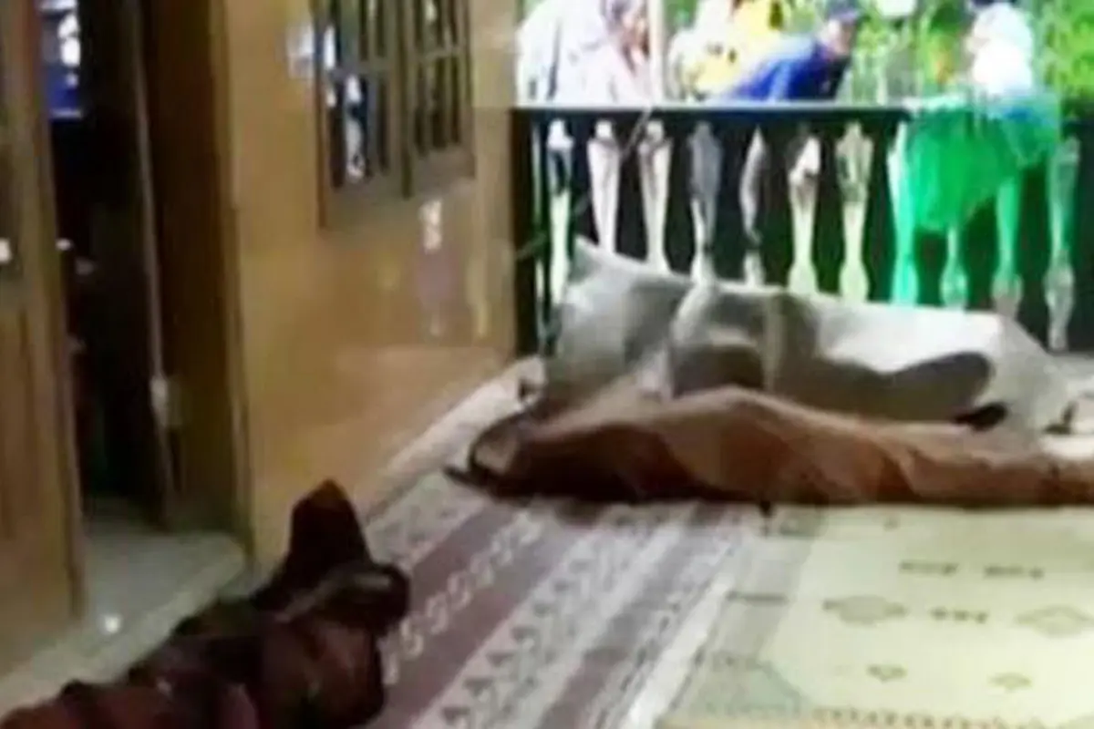 Bencana Longsor Jawa Tengah, Purworejo Paling Banyak Telan Korban