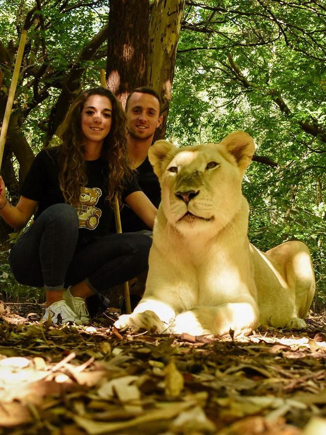 Rute Cardoso - Diogo Jota - Liverpool