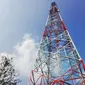 Salah satu Base Transceiver Station (BTS) Telkomsel yang menjulang tinggi, dibangun untuk melayani kebutuhan seluler masyarakat di Pulau Alor, Nusa Tenggara Timur. (Liputan6.com/Corry Anestia)