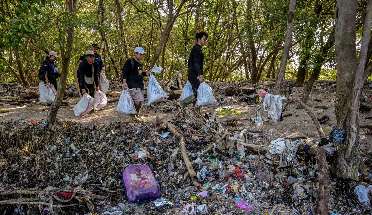 Polusi dari sampah plastik yang mengalir dari sungai akan akan terperangkap oleh struktur mangrove. Sampah plastik tersebut akan menghambat proses fotosintesis hingga merusak ekosistem mangrove. (Juni KRISWANTO/AFP)