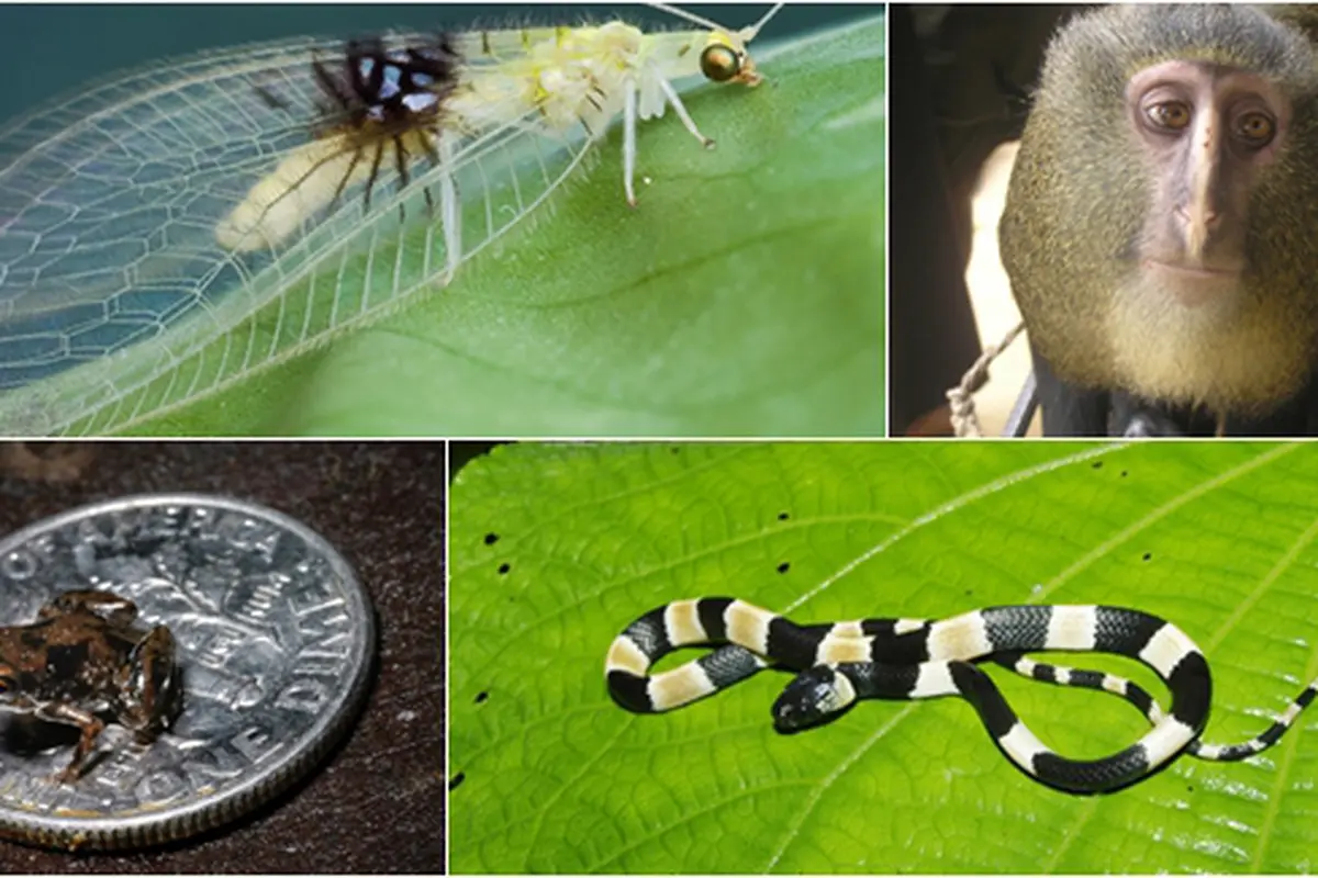 Courtesy LiveScience.com