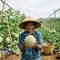 Cara Merawat Tanaman Melon agar Berbuah Manis dan Panen Melimpah