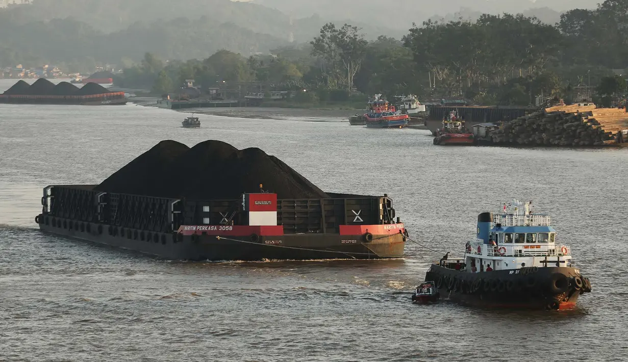 Tongkang batu bara terlihat di Sungai Mahakam di Samarinda, Kalimantan Timur, Indonesia, pada 19 Agustus 2026. (AP Photo/Ahmad Mulia Panjaitan)