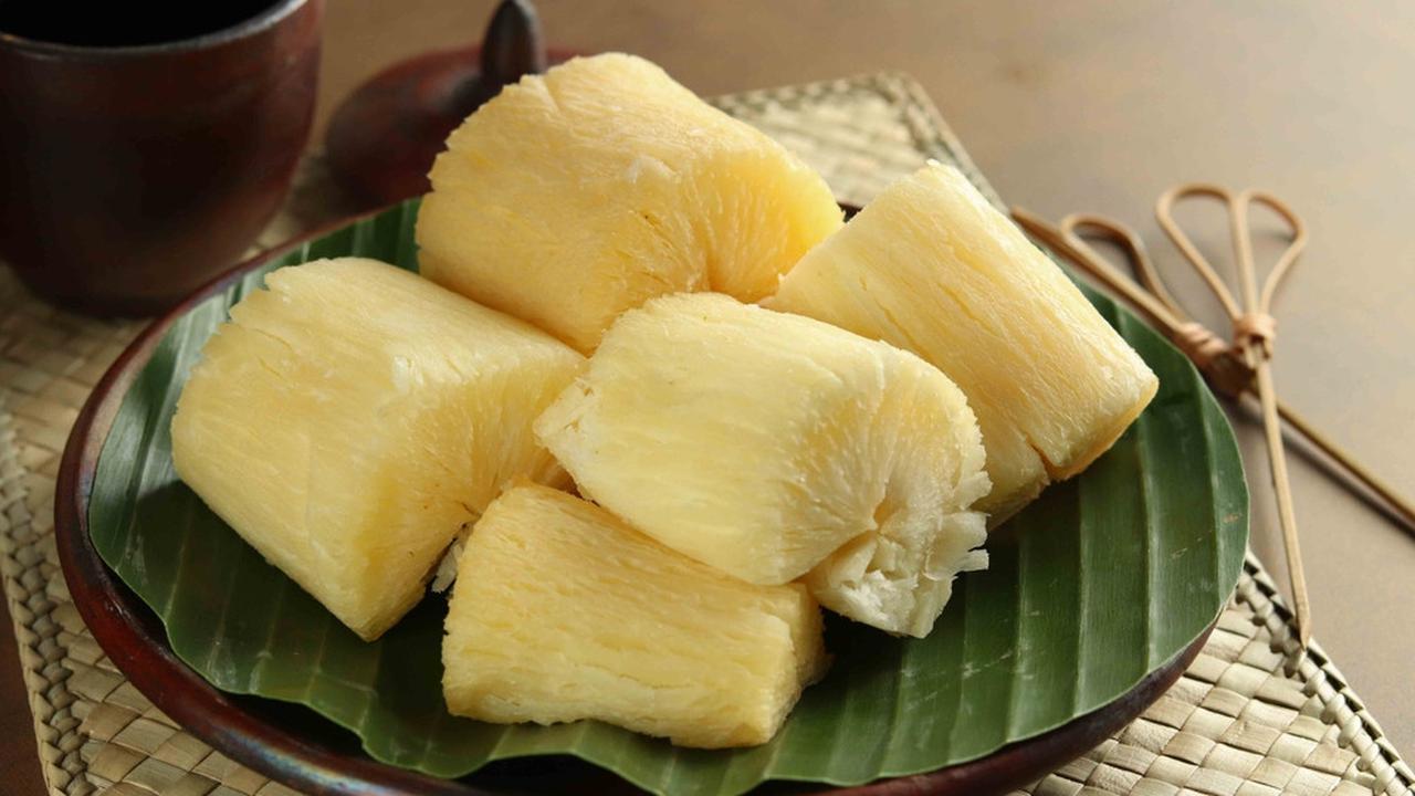 Singkong, Sumber Makanan Alternatif yang Kaya Nutrisi dan Baik Untuk  Kesehatan
