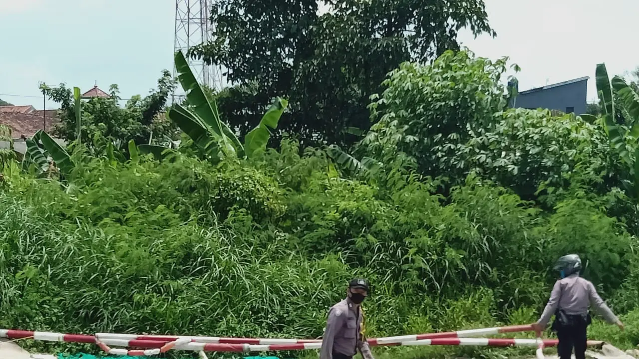 Lomba Merpati