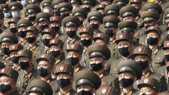 Korea Utara Alami Krisis Pupuk, Tentara Diminta Kumpulkan Rumput Buat Kompos