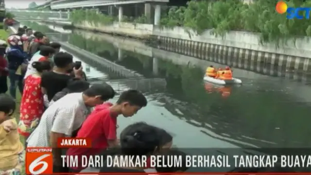 Petugas Terus Cari Kawanan Buaya di Kali Grogol