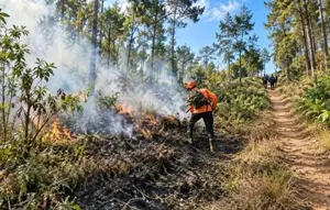 Kebakaran Bromo Dekati Permukiman, Petugas Buat Sekat Bakar