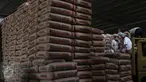 Pekerja tengah meletakkan karung semen di Jakarta, Rabu (27/1).Penjualan semen sepanjang 2015 mencapai 61,00 ton, naik 1,8% dibanding tahun sebelumnya 59,90 juta ton. (Liputan6.com/Angga Yuniar)