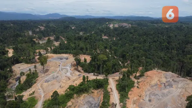 Kondisi KHDTK Labanan