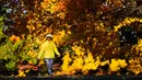 Seseorang berjalan pada sore musim gugur di Taman Sejarah Nasional Valley Forge, Valley Forge, Pennsylvania, Amerika Serikat, 1 November 2021. Musim gugur umumnya terjadi sekitar bulan Agustus hingga Oktober. (AP Photo/Matt Rourke)