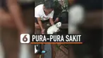 ANJING PURA-PURA