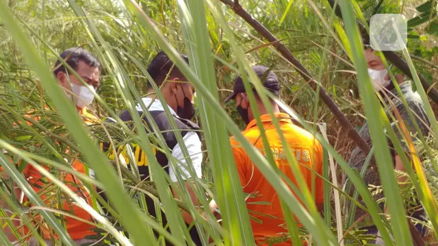 Mutilasi saksi korupsi