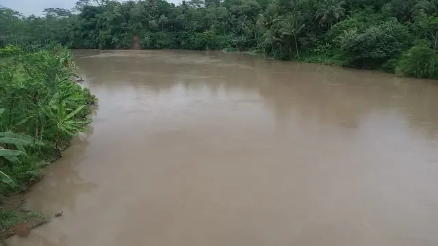 Sungai Serayu di Sekitar Desa Pucang Kecamatan Bawang, tempat buaya menampakkan diri. (Foto: Liputan6.com/Muhamad Ridlo)