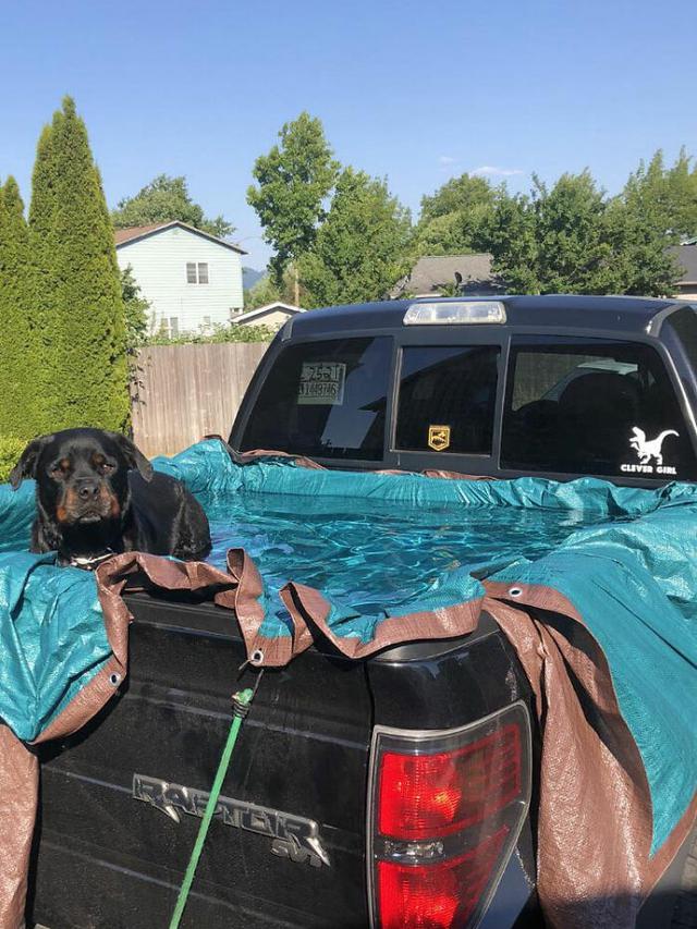 7 Potret Bukti Gelombang Panas di Kanada, Telur Bisa Sampai Matang