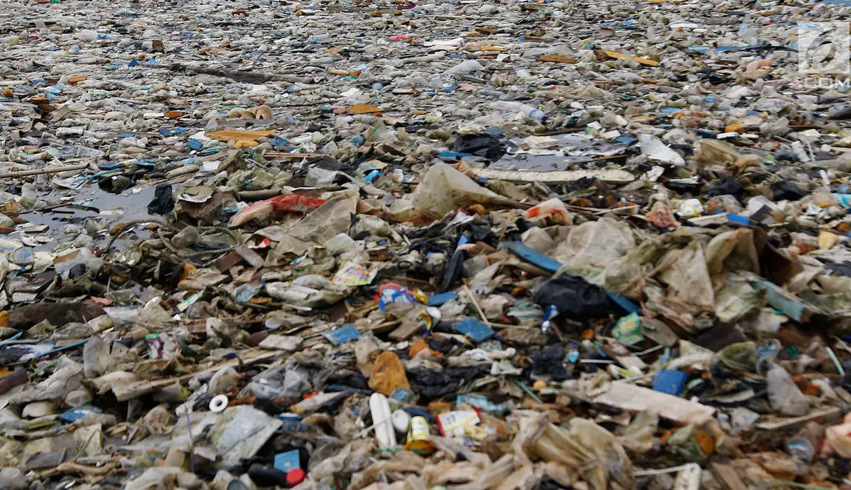 Tumpukan sampah terlihat di pinggir laut kawasan Pelabuhan Muara Baru, Jakarta Utara, Senin (29/7/2019). Sampah-sampah yang didominasi oleh sampah plastik ini terbawa arus laut yang dibuang masyarakat secara sembarangan. (Liputan6.com/Johan Tallo)