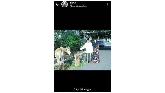 6 Status WhatsApp Bapak-Bapak Ini Bikin Susah Nahan Ketawa