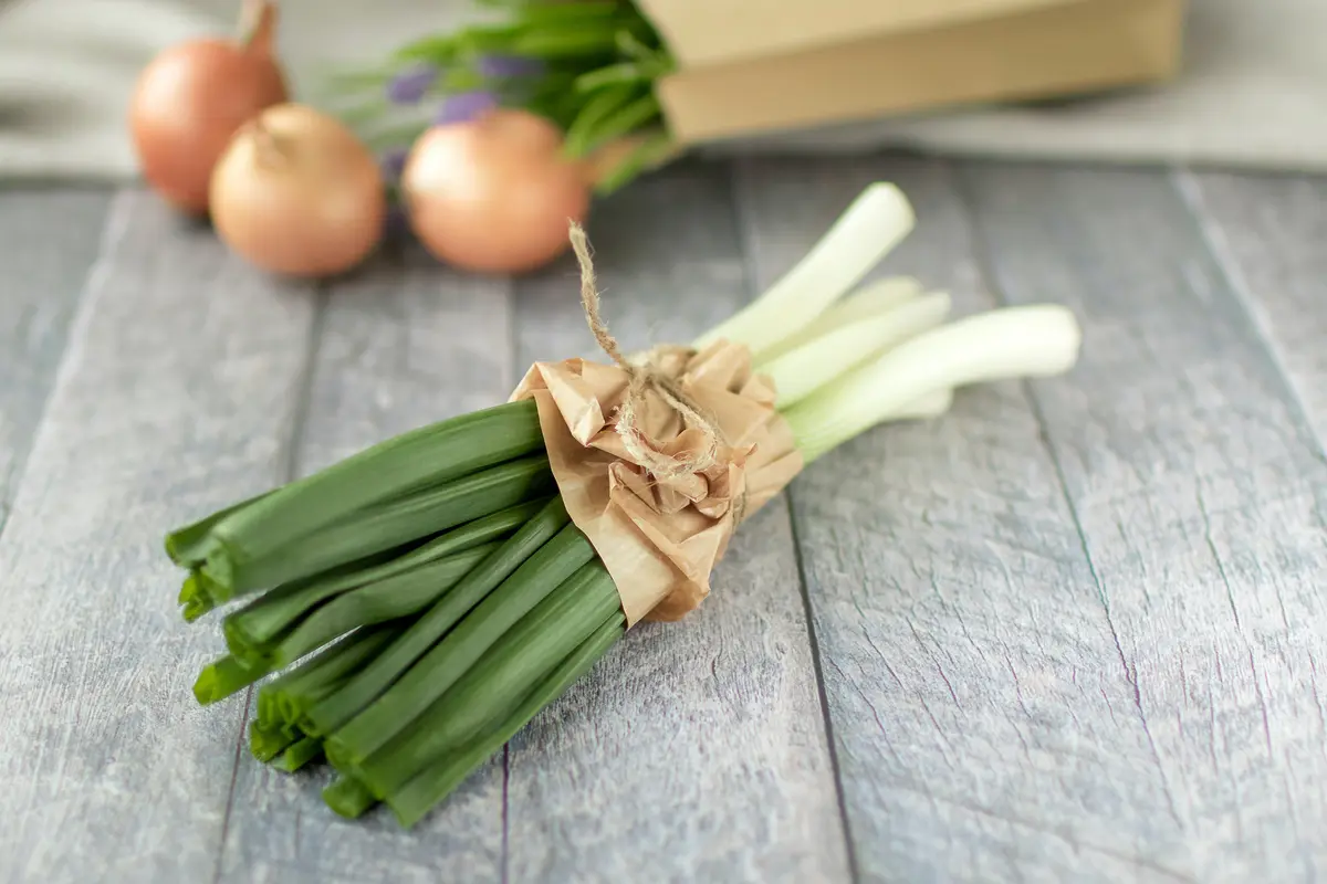 Daun Bawang Prei