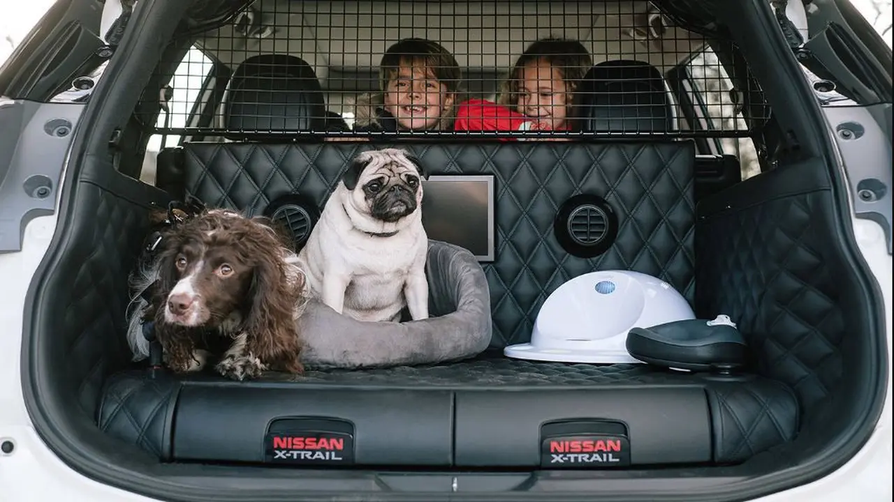 Nissan X-Trail 4Dogs