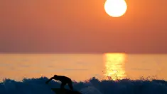 Seorang pria berselancar saat matahari terbenam di sebuah pantai di La Serena, Chile, Selasa (23/5/2015). (REUTERS/Marcos Brindicci)