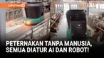 Peternakan ini dioperasikan oleh kecerdasan buatan (AI) yang bisa menakar berapa banyak pakan yang dibutuhkan oleh sapi, serta robot yang bisa membersihkan kandang.