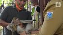 Petugas menyuntikkan vaksin rabies pada seekor monyet peliharaan warga di kelurahan Bukit Duri, Jakarta, Selasa (24/8/2021). Dinas Ketahanan Pangan, Kelautan, dan Pertanian (KPKP) memberikan vaksinasi rabies bagi hewan peliharaan warga untuk mengantisipasi penyakit rabies. (merdeka.com/Imam Buhori)