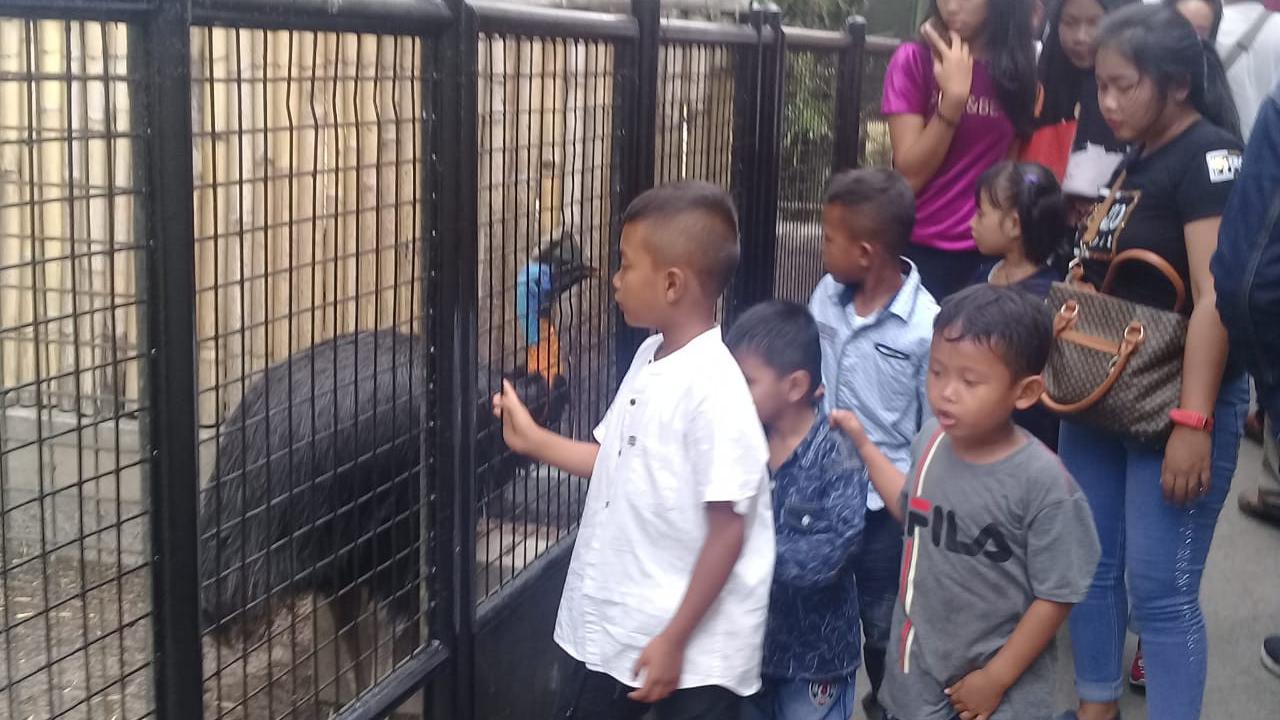 Berada di deretan paling depan pintu masuk, tingkah lucu burung kasuari menjadi daya tarik para pengunjung yang datang ke taman Cikembulan, Garut, Jawa Barat, saat liburan lebaran kali ini.