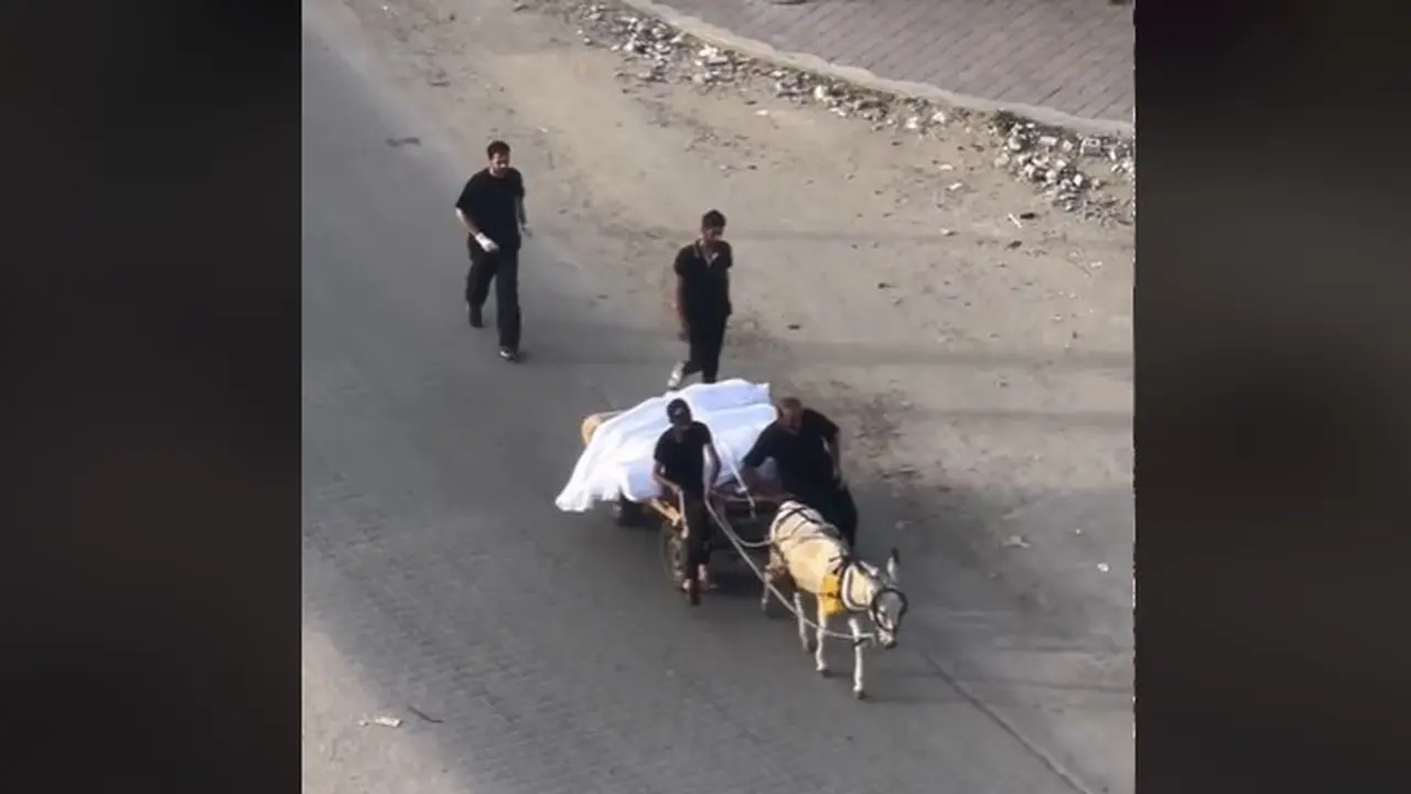 Beredar Video Kondisi Miris di Palestina, Jenazah Dibawa ke Pemakaman dengan Gerobak Keledai