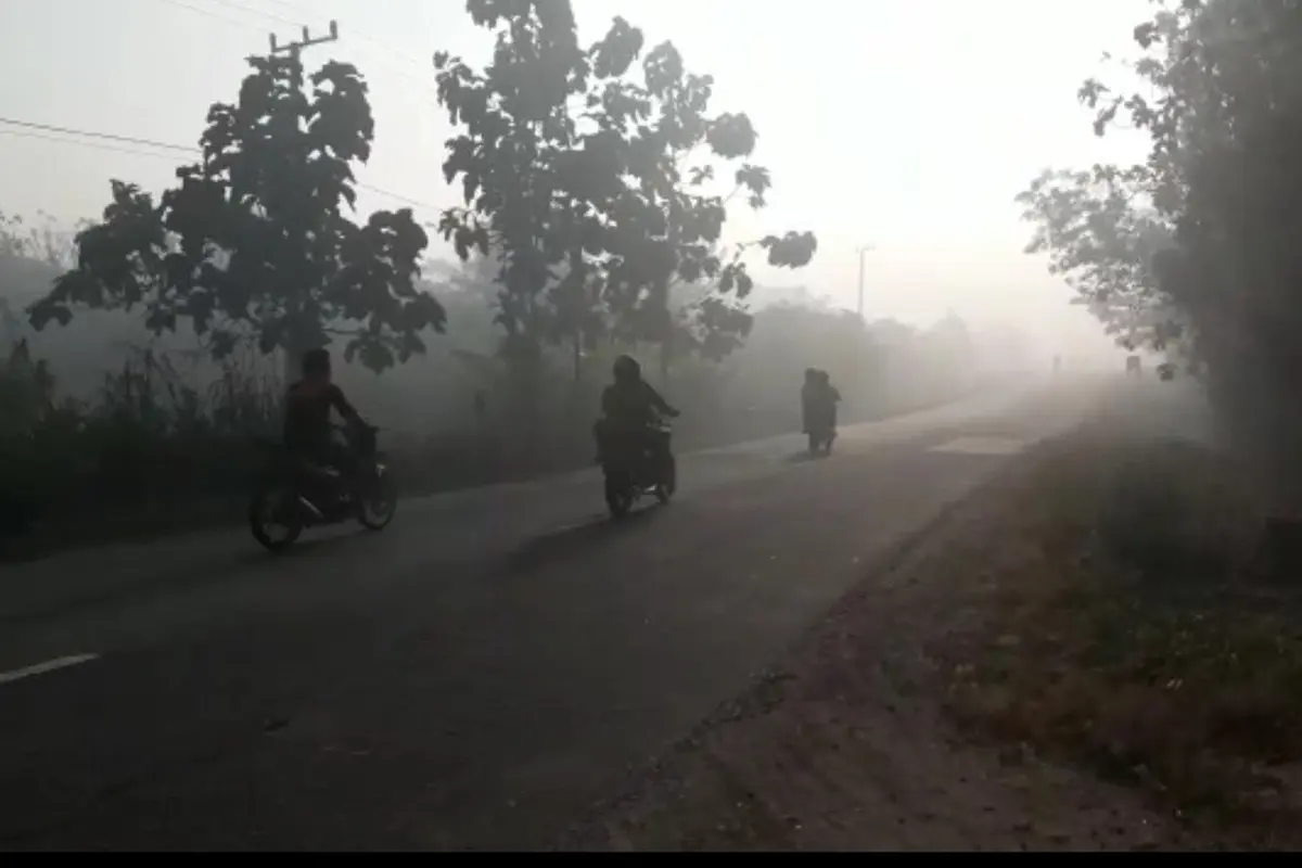 Kabut asap yang terjadi di wilayah Kolaka Timur, menganggu aktifitas minum kopi warga, Minggu (8/9/2019) pukul 8.30 Wita.(Liputan6.com/Ahmad Akbar Fua)