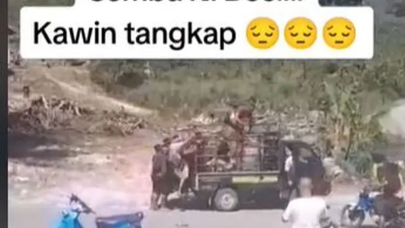 Apa Itu Tradisi Penculikan Kawin Tangkap di NTT yang Pelakunya Kini Terancam 12 Tahun Penjara?