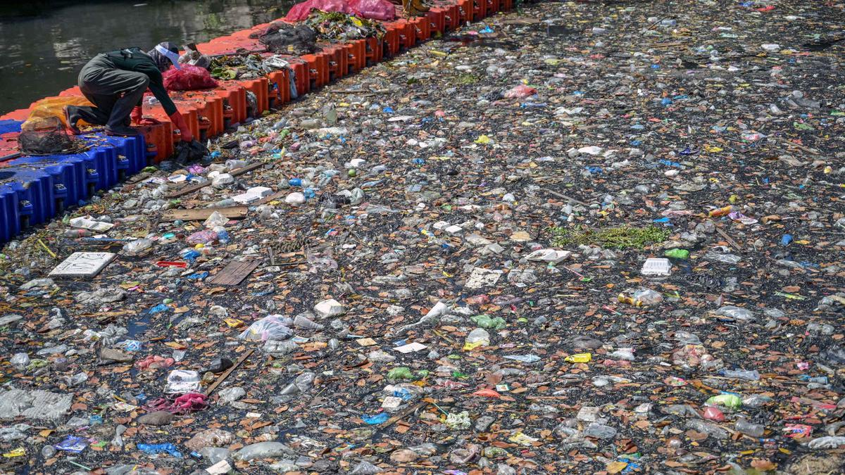 Dorong Terwujudnya Kali Tebu Moncer, Ecoton Angkut dan Pilah Sampah