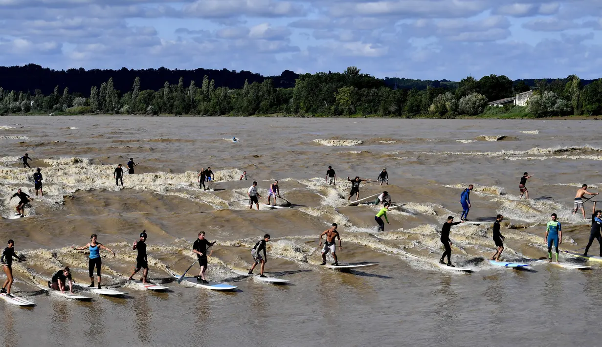 Sejumlah warga berselancar di Sungai Dordogne, Saint-Pardon, Prancis (24/7). Fenomena pasang surut besar yang menyebabkan gelombang arus di Sungai Dordogne ini dimanfaatkan warga dan turis unutk berselancar. (AFP Photo/Georges Gobet)