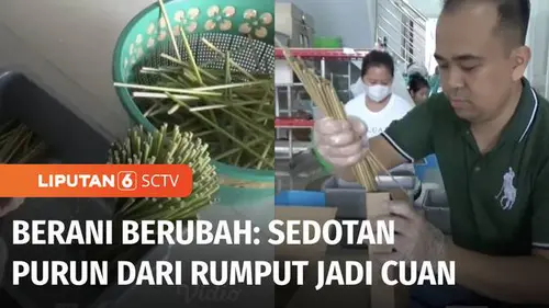 VIDEO: Berani Berubah: Sedotan Purun dari Rumput Jadi Cuan