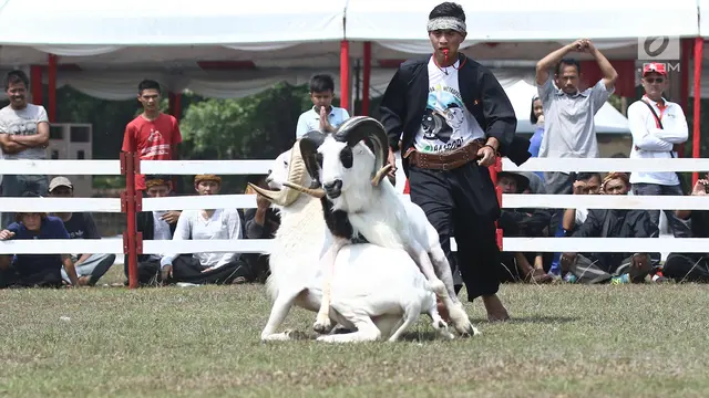 Jambore Peternakan Nasional 2017
