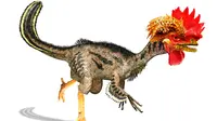 Chickenosaurus, bisakah ayam kembali jadi dinosaurus? (Karl Tate, LiveScience.com Contributor)
