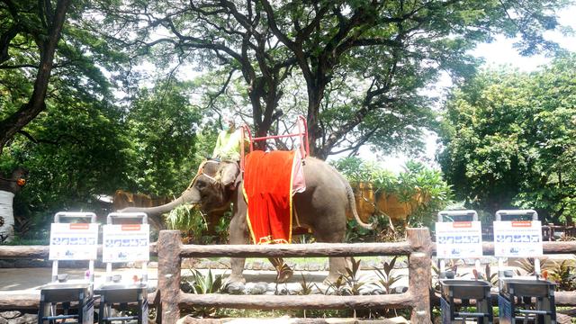 Dukung Antisipasi Covid-19, Rucika Sediakan Pipa PVC di Wastafel Kebun Binatang Surabaya