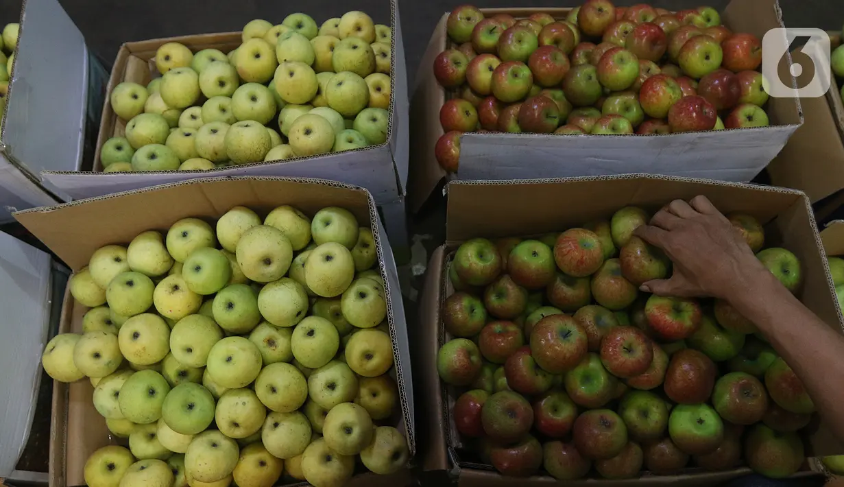 Pedagang memlilih buah apel di pasar induk Kramat Jati, blok buah di Jakarta, Minggu (2/2/2020). Produksi lokal dinilai perlu digenjot untuk meredam impor buah tropis yang masih berlangsung sampai saat ini. (Liputan6.com/Herman Zakharia)