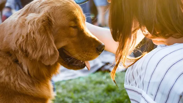 [bintang] 3 Zodiak yang Lebih Pilih Hewan Peliharaan daripada Pacarnya Sendiri