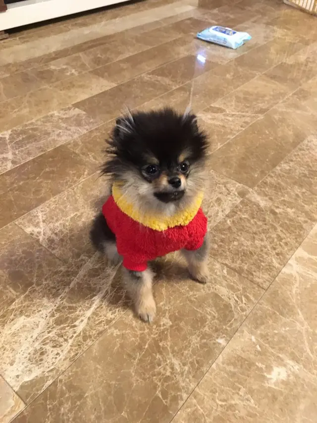Yeontan. (Twitter/ BTS_twt)