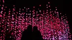 Orang-orang mengunjungi "Pixel Forest" oleh seniman Swiss Pipilotti Rist, sebuah instalasi seni dari 3000 lampu LED pahatan tangan yang digantung di langit-langit di Tai Kwun di Hong Kong (18/8/2022). (AFP/Isaac Lawrence)