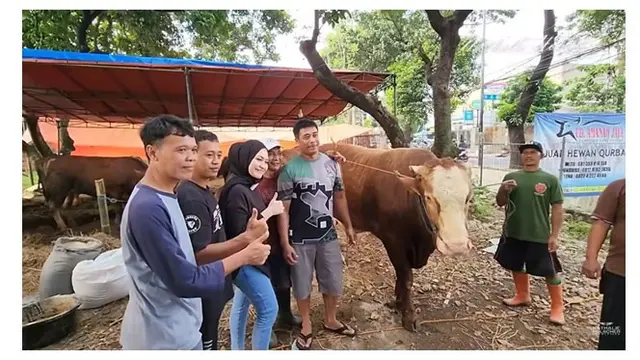 Pertama Kali Berkurban, Ini 9 Potret Nathalie Holscher Cari Hewan Kurban