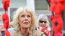 Ratu Inggris, Camilla, bereaksi saat melihat pameran bunga poppy di pusat Corsham, Inggris pada Selasa 28 Oktober 2025, sebagai bagian dari kunjungannya ke The Poppy Project. Kelompok ini menerima lebih dari 31.000 bunga poppy dari seluruh wilayah dan luar Inggris, termasuk sekolah, kelompok pemuda, rumah tinggal, dan bisnis di daerah tersebut. (Chris Jackson/POOL/AFP)